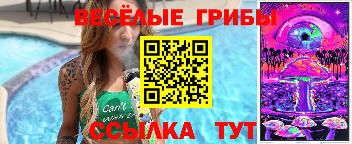Псилоцибиновые грибы MAGIC MUSHROOMS Саров