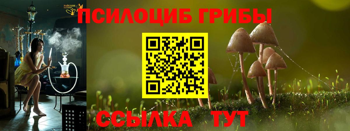 Галлюциногенные грибы прущие грибы  Псилоцибиновые грибы Psilocybe  Вход с VPN  Саров 